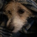 Atti Eating with Abbi (995779)