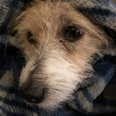 Atti Eating with Abbi (994530)