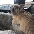 Random Photos 2019 (994180)