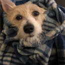 Atti Eating with Abbi (995943)