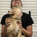 Atti Eating with Abbi (993527)