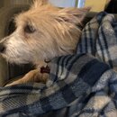 Atti Eating with Abbi (997408)