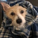 Atti Eating with Abbi (997107)