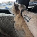 Random Photos 2019 (994380)