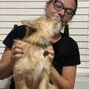 Atti Eating with Abbi (996267)