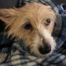 Atti Eating with Abbi (995494)