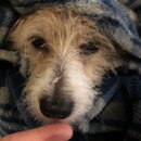 Atti Eating with Abbi (995168)