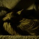 Random Photos 2019 (996189)