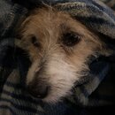 Atti Eating with Abbi (997073)