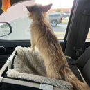 Random Photos 2019 (994281)