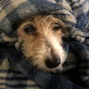 Atti Eating with Abbi (994125)