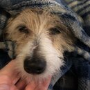 Atti Eating with Abbi (994909)