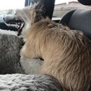 Random Photos 2019 (995692)