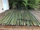 Bamboo Removal (995273)