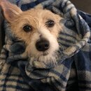 Atti Eating with Abbi (997095)