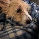 Atti Eating with Abbi (997354)