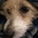 Atti Eating with Abbi (994544)