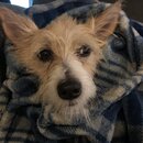 Atti Eating with Abbi (993393)