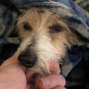 Atti Eating with Abbi (996645)