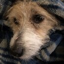 Atti Eating with Abbi (995749)