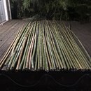 Bamboo Removal (997196)