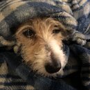 Atti Eating with Abbi (997392)