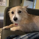 Atti Eating with Abbi (994322)