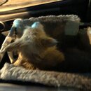 Random Photos 2019 (994805)