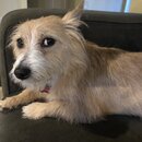 Atti Eating with Abbi (997096)