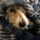 Atti Eating with Abbi (993805)