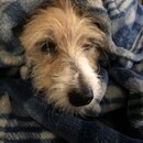 Atti Eating with Abbi (994232)