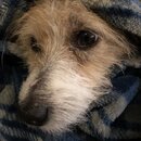 Atti Eating with Abbi (993733)