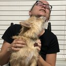 Atti Eating with Abbi (995776)