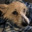 Atti Eating with Abbi (996780)