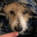 Atti Eating with Abbi (993680)