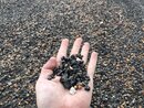Broadmoor Asphalt Analysis (995387)