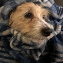 Atti Eating with Abbi (996919)