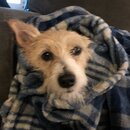 Atti Eating with Abbi (996165)