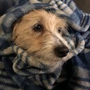 Atti Eating with Abbi (994760)