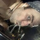 Post Run Sweaty Shots (995214)