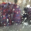 Random Photos 2019 (994941)