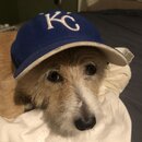 Atti Modeling a Royals Cap (997070)