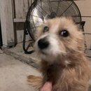 Atticus Finch! (993932)