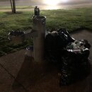 Post Run Sweaty Shots (993628)