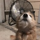 Atticus Finch! (994389)