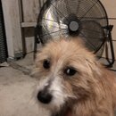 Atticus Finch! (996179)