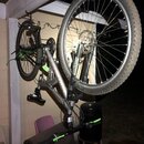 Random Photos 2019 (994459)