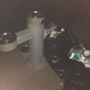 Post Run Sweaty Shots (996911)