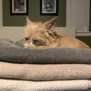 Atticus Finch! (996364)