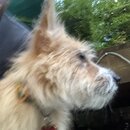 Atticus Finch! (994480)